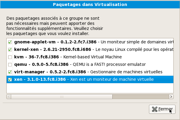 Fichier:Xen facile anaconda-Groupe virtualisation-selection paquetages.png
