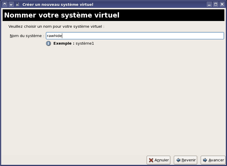 Fichier:Nom domaine virt-manager.png